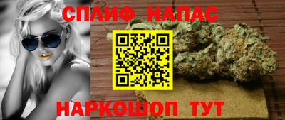 МДПВ Тула