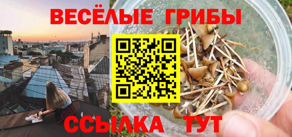 Псилоцибиновые грибы ЛСД  Вход с VPN  Алушта 