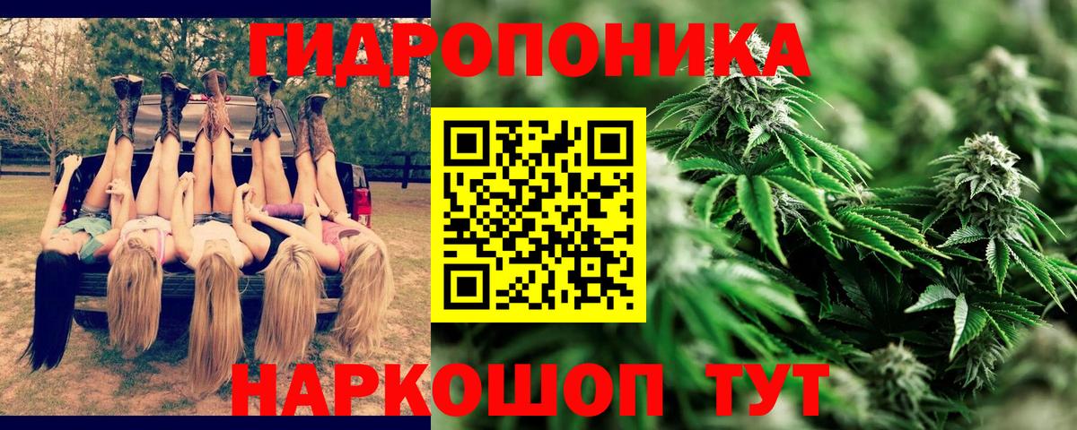 Марихуана семена  Бошки марихуана индика  Вход с VPN  Алушта  Канабис индика 